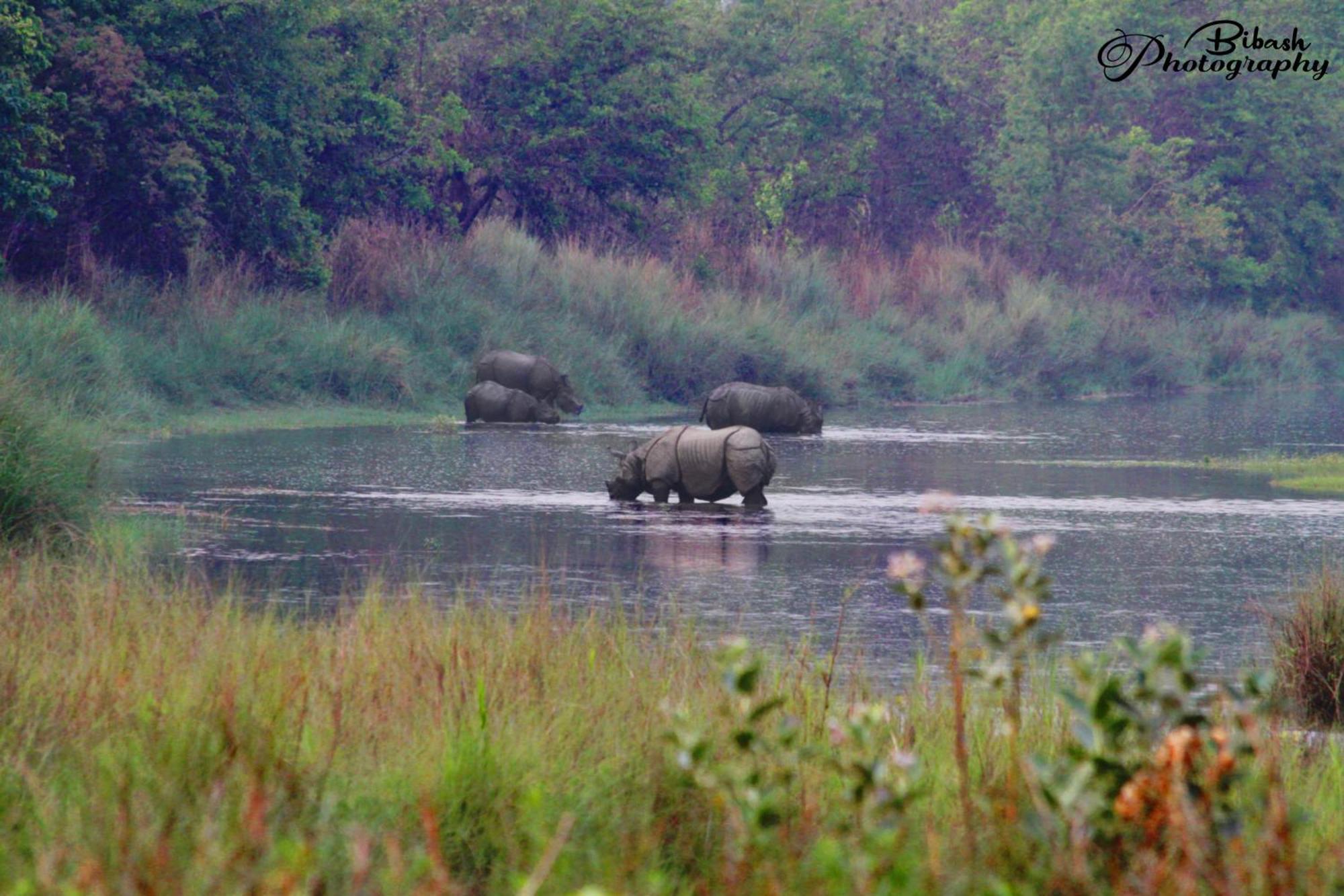 Mr. B'S Place Bardiya Esterno foto