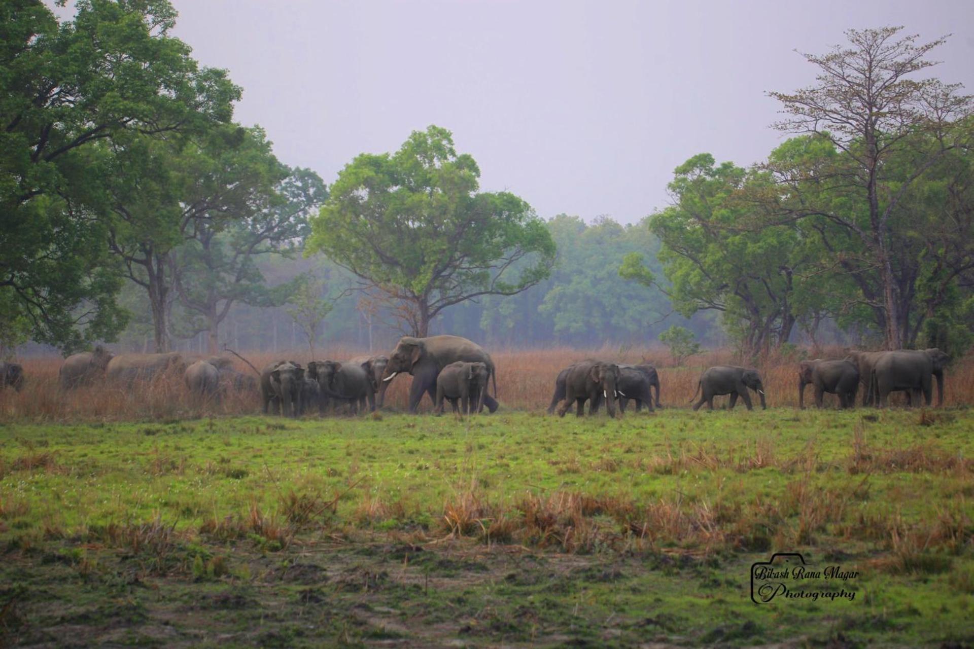 Mr. B'S Place Bardiya Esterno foto