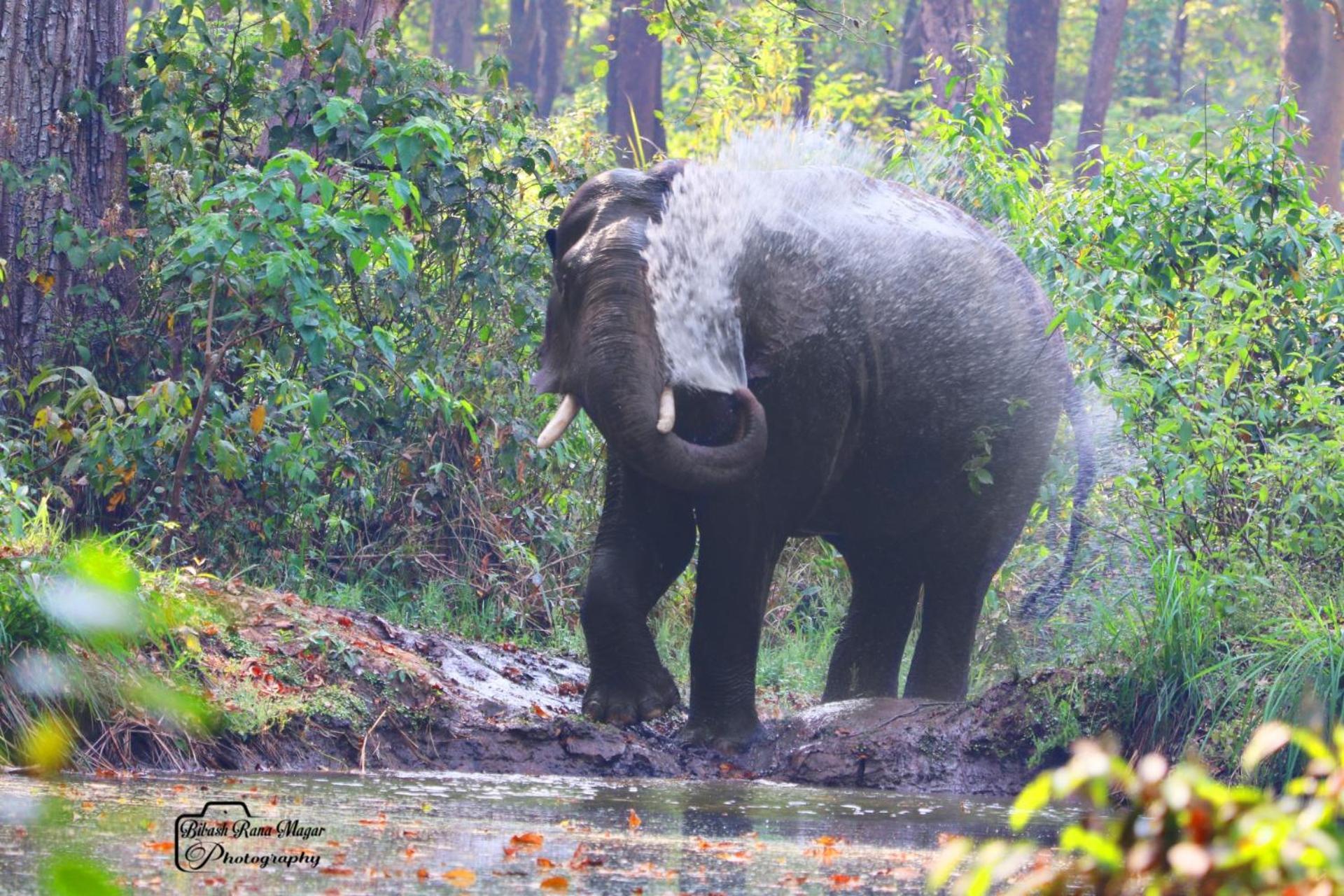 Mr. B'S Place Bardiya Esterno foto